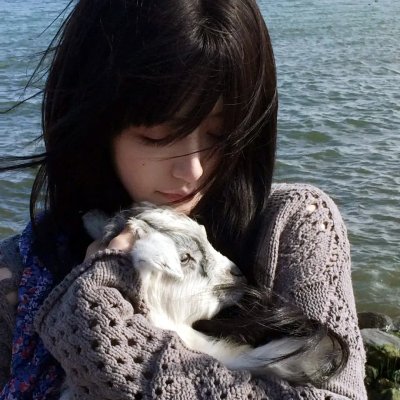 出柜好莱鸟