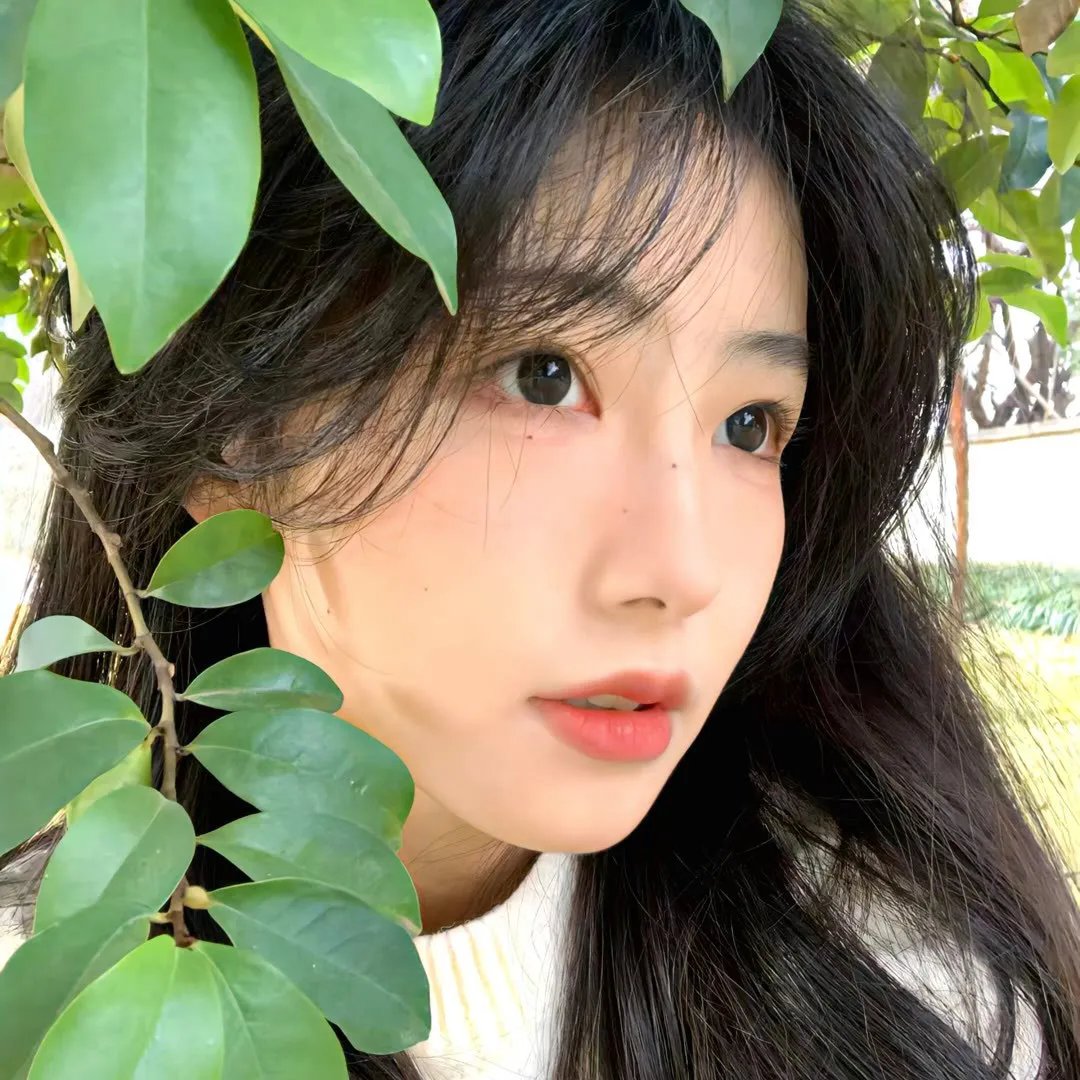 安哲罗的森林奇遇